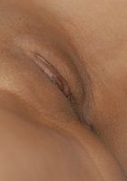 Mellissa in latinas, Mellissa (mel008) ATK Exotics: Mellissa (Mellissa in latinas)