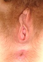 Melanie shows off her panties and hairy pussy under her skirt, Melanie (mel060) ATK Archives: Melanie (Melanie shows off her panties and hairy pussy under her skirt)