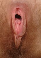 Melanie gets naked and combs her hairy pussy, Melanie (mel060) ATK Archives: Melanie (Melanie gets naked and combs her hairy pussy)