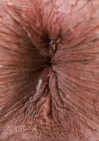 No panties for Melanie Muse, Melanie Muse (mel119) ATK Exotics: Melanie Muse (No panties for Melanie Muse)