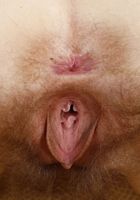 Mercy West in young and hairy, Mercy West (mer029) ATK Natural & Hairy: Mercy West (Mercy West in young and hairy)