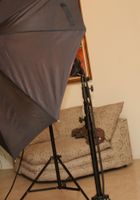 Michelle Honeywell in behind the scenes, Michelle Honeywell (mic094) ATK Premium: Michelle Honeywell (Michelle Honeywell in behind the scenes)