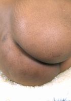 Milie in black women, Milie (mil008) ATK Exotics: Milie (Milie in black women)