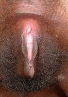 Miltie in black women, Miltie (mil020) ATK Exotics: Miltie (Miltie in black women)