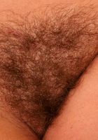 Hairy babe Mischel teases with her hairy pussy, Mischel (mis028) ATK Archives: Mischel (Hairy babe Mischel teases with her hairy pussy)