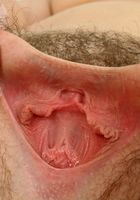 Horny babe Mischel teases in her lingerie and spreads her hairy pussy, Mischel (mis028) ATK Archives: Mischel (Horny babe Mischel teases in her lingerie and spreads her hairy pussy)
