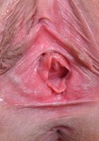 Molly Manson has the hottest pussy., Molly Manson (mol035) ATK Premium: Molly Manson (Molly Manson has the hottest pussy.)