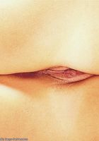 Kitty in upskirts and panties, Kitty (mon027) ATK Archives: Kitty (Kitty in upskirts and panties)