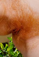 Beautiful hairy redhead nico brings the sunshine, Nico Kelley (nic068) ATK Archives: Nico Kelley (Beautiful hairy redhead nico brings the sunshine)