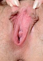 Nickey Huntsman in young and hairy, Nickey Huntsman (nic093) ATK Natural & Hairy: Nickey Huntsman (Nickey Huntsman in young and hairy)