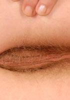 Nikol Stockings and Spreads, Nikol (nik068) ATK Natural & Hairy: Nikol (Nikol Stockings and Spreads)