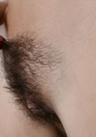 Hairy MILF Nikki spreads her ass, Nikki Daniels (nik086) ATK Natural & Hairy: Nikki Daniels (Hairy MILF Nikki spreads her ass)