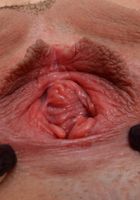 Nikki Next Is Up Next With Her Beautiful Tight Pussy, Nikki Next (nik111) ATK Exotics: Nikki Next (Nikki Next Is Up Next With Her Beautiful Tight Pussy)