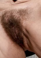Hairy MILF Nina shows off her furry pussy, Nina Swiss (nin020) ATK Natural & Hairy: Nina Swiss (Hairy MILF Nina shows off her furry pussy)