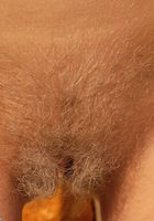 Nourse in young and hairy, Nourse (nou001) ATK Petites: Nourse (Nourse in young and hairy)