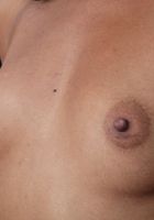 Nova Star is a Cutie, Nova Star (nov001) ATK Exotics: Nova Star (Nova Star is a Cutie)