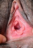 Olivia Green in exotic and hairy, Olivia Green (oli032) ATK Natural & Hairy: Olivia Green (Olivia Green in exotic and hairy)