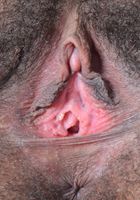 Olivia Green in exotic and hairy, Olivia Green (oli032) ATK Natural & Hairy: Olivia Green (Olivia Green in exotic and hairy)