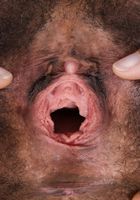 Olivia Green in exotic and hairy, Olivia Green (oli032) ATK Natural & Hairy: Olivia Green (Olivia Green in exotic and hairy)