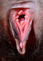 Olivia Green in exotic and hairy, Olivia Green (oli032) ATK Natural & Hairy: Olivia Green (Olivia Green in exotic and hairy)