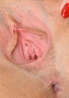 Ornella Morgan in upskirts and panties, Ornella Morgan (orn002) ATK Galleria: Ornella Morgan (Ornella Morgan in upskirts and panties)