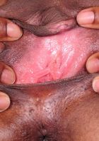 Ebony model Pauline opens her pussy, Pauline (pau033) ATK Exotics: Pauline (Ebony model Pauline opens her pussy)