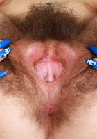 Pearl Sage Hairy and Sexy, Pearl Sage (pea013) ATK Natural & Hairy: Pearl Sage (Pearl Sage Hairy and Sexy)