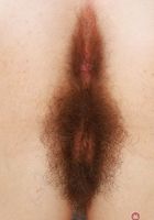 Pearl Sage Hairy Holes, Pearl Sage (pea013) ATK Natural & Hairy: Pearl Sage (Pearl Sage Hairy Holes)
