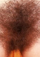Pearl Sage Super Hairy Muff and Spreads, Pearl Sage (pea013) ATK Natural & Hairy: Pearl Sage (Pearl Sage Super Hairy Muff and Spreads)
