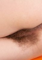 Pearl Sage in young and hairy, Pearl Sage (pea013) ATK Natural & Hairy: Pearl Sage (Pearl Sage in young and hairy)