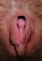 Pearl Sage previews what a reverse cowgirl would look like!, Pearl Sage (pea013) ATK Natural & Hairy: Pearl Sage (Pearl Sage previews what a reverse cowgirl would look like!)