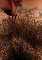 Penelope Reed in exotic and hairy, Penelope Reed (pen027) ATK Petites: Penelope Reed (Penelope Reed in exotic and hairy)