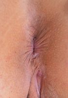 Penelope Reed spreads her pink pussy, Penelope Reed (pen027) ATK Natural & Hairy: Penelope Reed (Penelope Reed spreads her pink pussy)