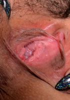Penelope Reed in exotic and hairy, Penelope Reed (pen027) ATK Petites: Penelope Reed (Penelope Reed in exotic and hairy)