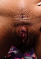 Penelope Reed in exotic and hairy, Penelope Reed (pen027) ATK Petites: Penelope Reed (Penelope Reed in exotic and hairy)