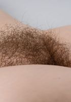 Quinn Helix in young and hairy, Quinn Helix (qui007) ATK Natural & Hairy: Quinn Helix (Quinn Helix in young and hairy)