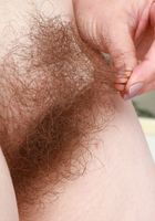 Quinn Helix in young and hairy, Quinn Helix (qui007) ATK Natural & Hairy: Quinn Helix (Quinn Helix in young and hairy)