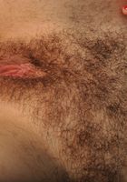 Raven in young and hairy, Raven (rav005) ATK Natural & Hairy: Raven (Raven in young and hairy)