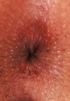 Reina Heart Spreads Her Tight Holes, Reina Heart (rei001) ATK Exotics: Reina Heart (Reina Heart Spreads Her Tight Holes)