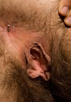Renee in scary hairy, Renee (ren003) ATK Natural & Hairy: Renee (Renee in scary hairy)