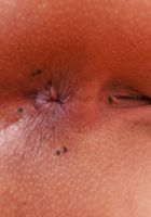 Reyna Belle Lingerie Pussy and Ass Spreads, Reyna Belle (rey001) ATK Petites: Reyna Belle (Reyna Belle Lingerie Pussy and Ass Spreads)