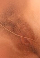 Naughty babe Romana teases with her pantyhose and hairy pussy, Romana (rom008) ATK Archives: Romana (Naughty babe Romana teases with her pantyhose and hairy pussy)