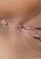 Roxy Taggart spreads her pussy., Roxy Taggart (rox031) ATK Archives: Roxy Taggart (Roxy Taggart spreads her pussy.)