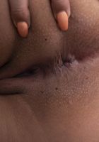 Selma Sins in latinas, Selma Sins (sal021) ATK Exotics: Selma Sins (Selma Sins in latinas)