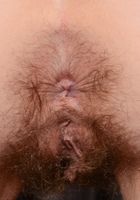 Hairy Sammy Grand returns, Sammy Grand (sam040) ATK Archives: Sammy Grand (Hairy Sammy Grand returns)