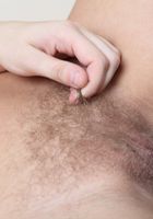 Hairy Sandy strips off her lingerie, Sandy (san070) ATK Natural & Hairy: Sandy (Hairy Sandy strips off her lingerie)