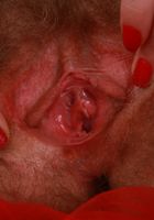 Sexy and naughty hairy babe Sandy teases with her feet and hairy pussy, Sandy (san071) ATK Natural & Hairy: Sandy (Sexy and naughty hairy babe Sandy teases with her feet and hairy pussy)