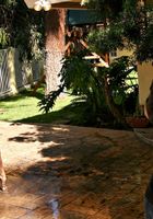 Sativa Verte in behind the scenes, Sativa Verte (sat007) ATK Petites: Sativa Verte (Sativa Verte in behind the scenes)