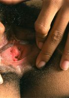 Selma in black women, Selma (sel004) ATK Exotics: Selma (Selma in black women)