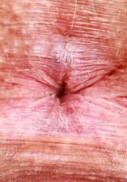 The adorable Selina Imai gets a little pink, Selina Imai (sel019) ATK Exotics: Selina Imai (The adorable Selina Imai gets a little pink)